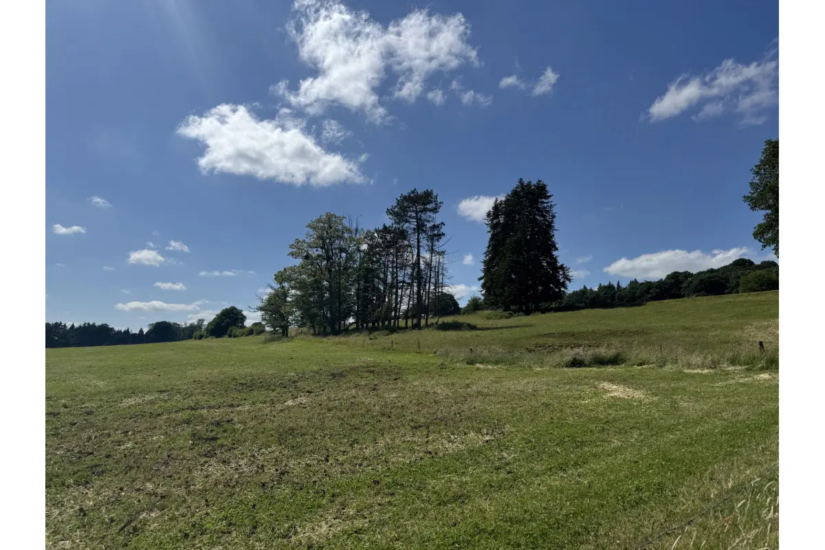 Grond te  koop in Neupré 4120 55000.00€  slaapkamers m² - Zoekertje 651867