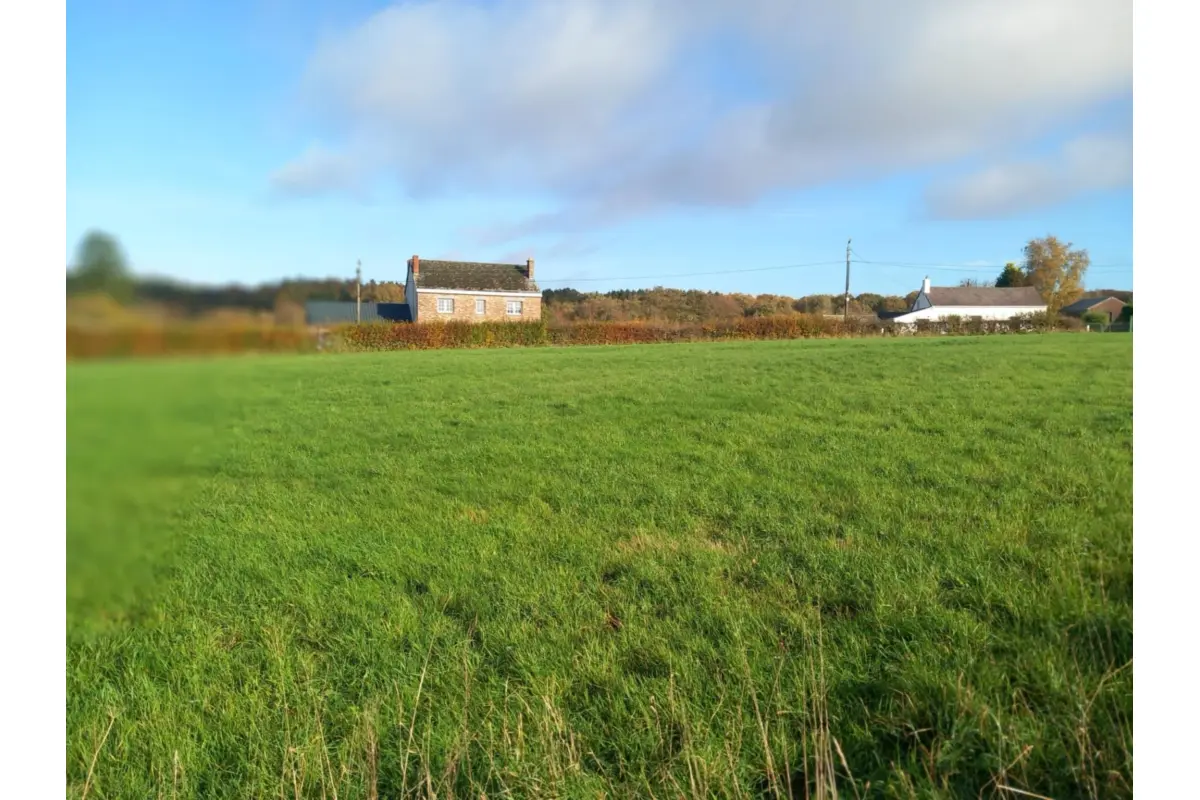 Grond te  koop in Momignies 6590 96950.00€  slaapkamers m² - Zoekertje 652034