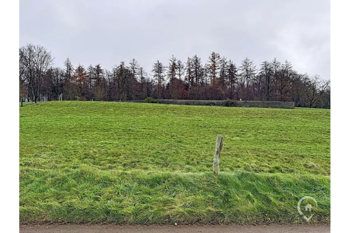 Terrain à vendre à Naomé 5555 85000.00€  chambres m² - annonce 652493