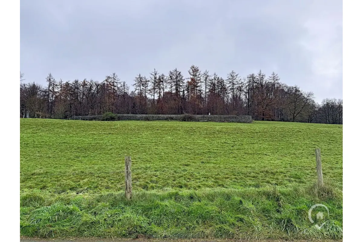 Terrain à vendre à Naomé 5555 73000.00€  chambres m² - annonce 652491