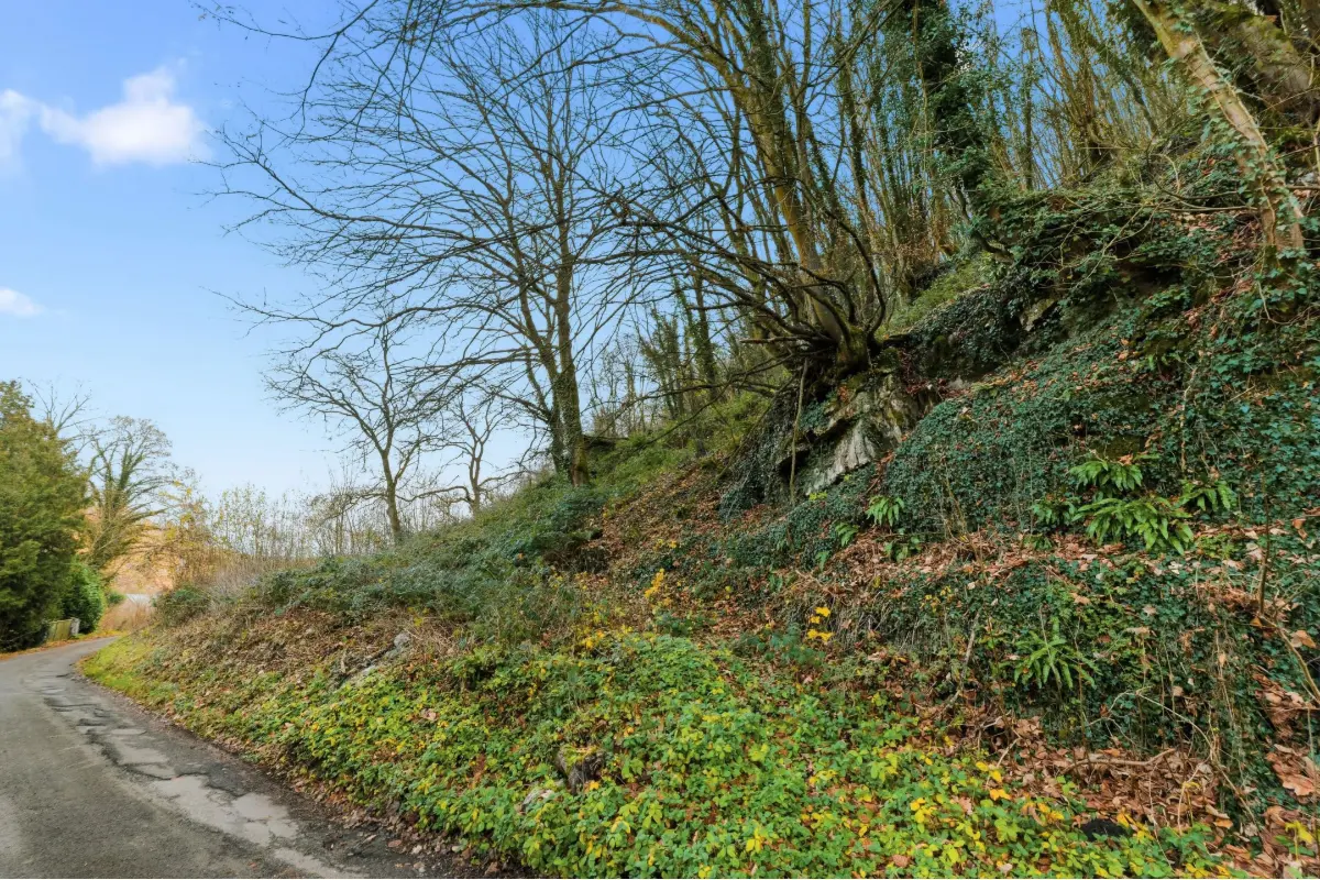 Terrain à vendre à Profondeville 5170 90000.00€  chambres m² - annonce 652572