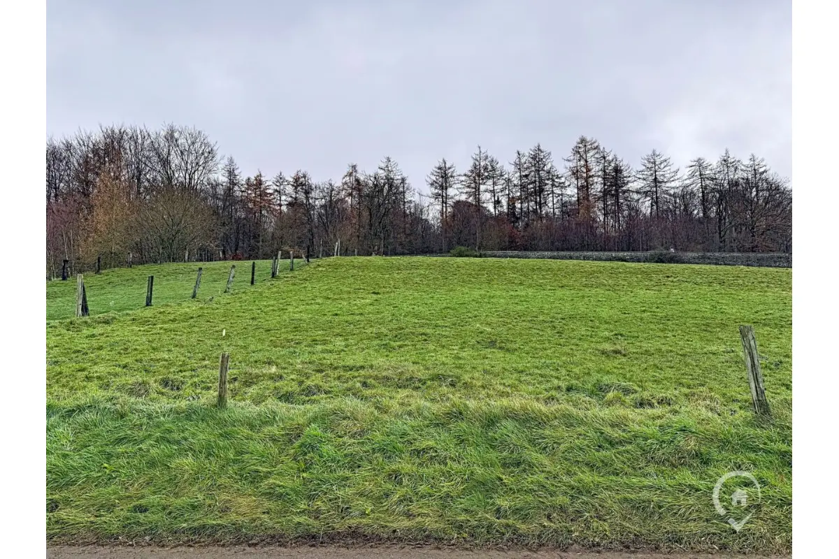 Terrain à vendre à Naomé 5555 75000.00€  chambres m² - annonce 652489