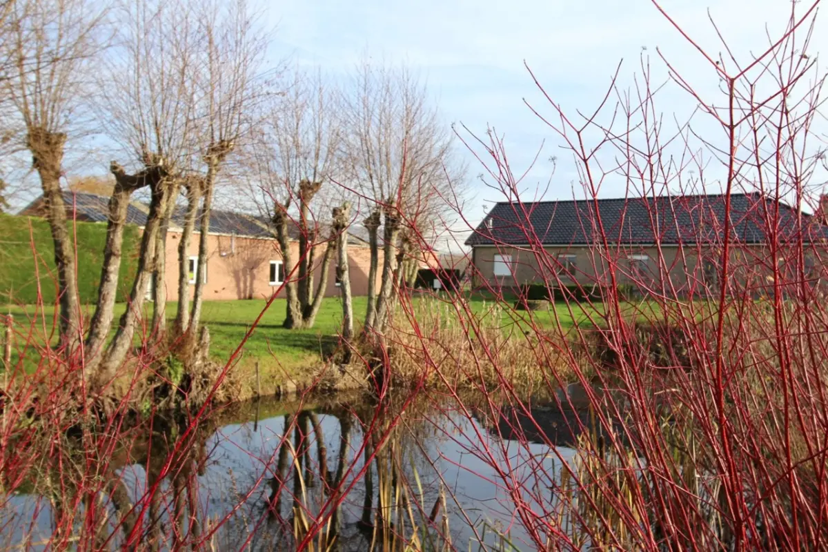 Maison à vendre à Oedelem 8730 890000.00€ 3 chambres 378.00m² - annonce 652979