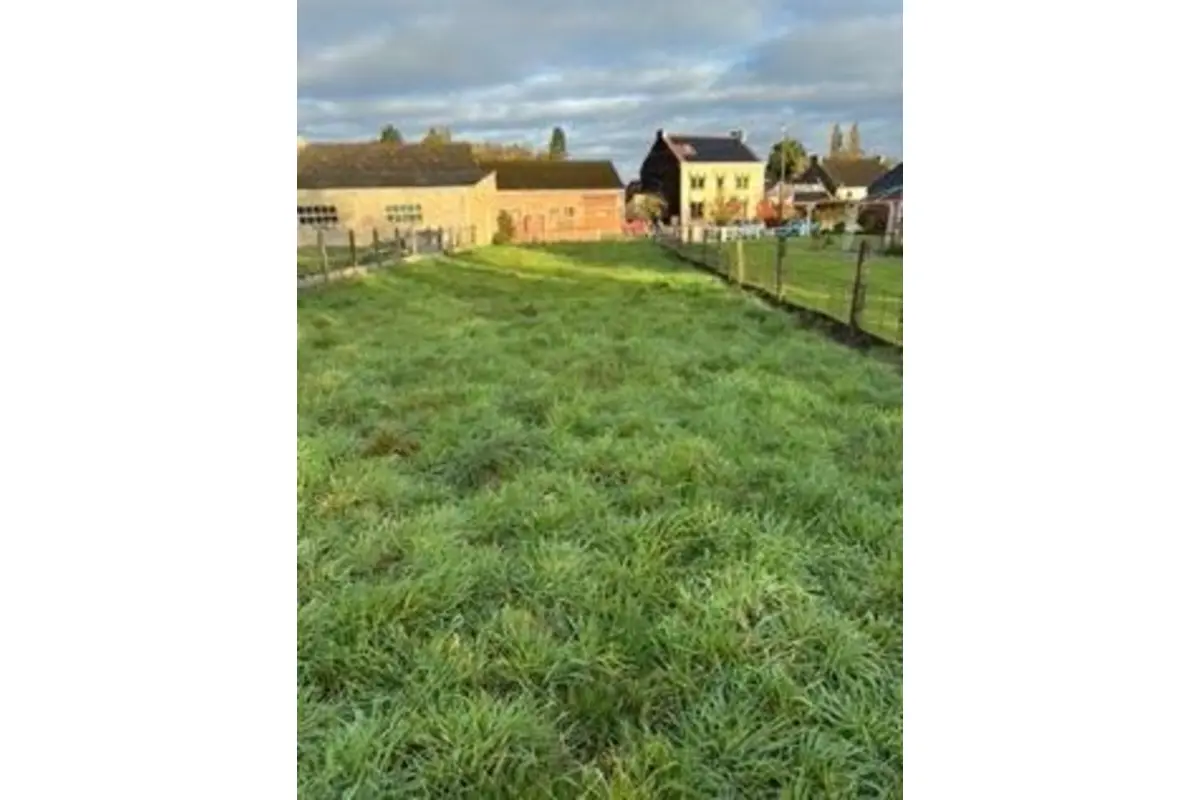 Grond te  koop in Nil-Saint-Vincent-Saint-Martin 1457 149000.00€  slaapkamers m² - Zoekertje 654044