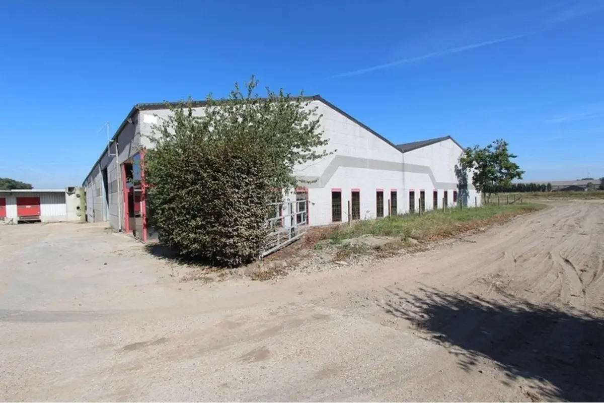 Handelszaak te  huur in Koekelare 8680 4265.00€  slaapkamers 2904.00m² - Zoekertje 654680