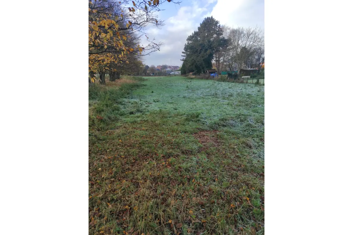 Terrain à vendre à Boussoit 7110 132000.00€  chambres m² - annonce 656057