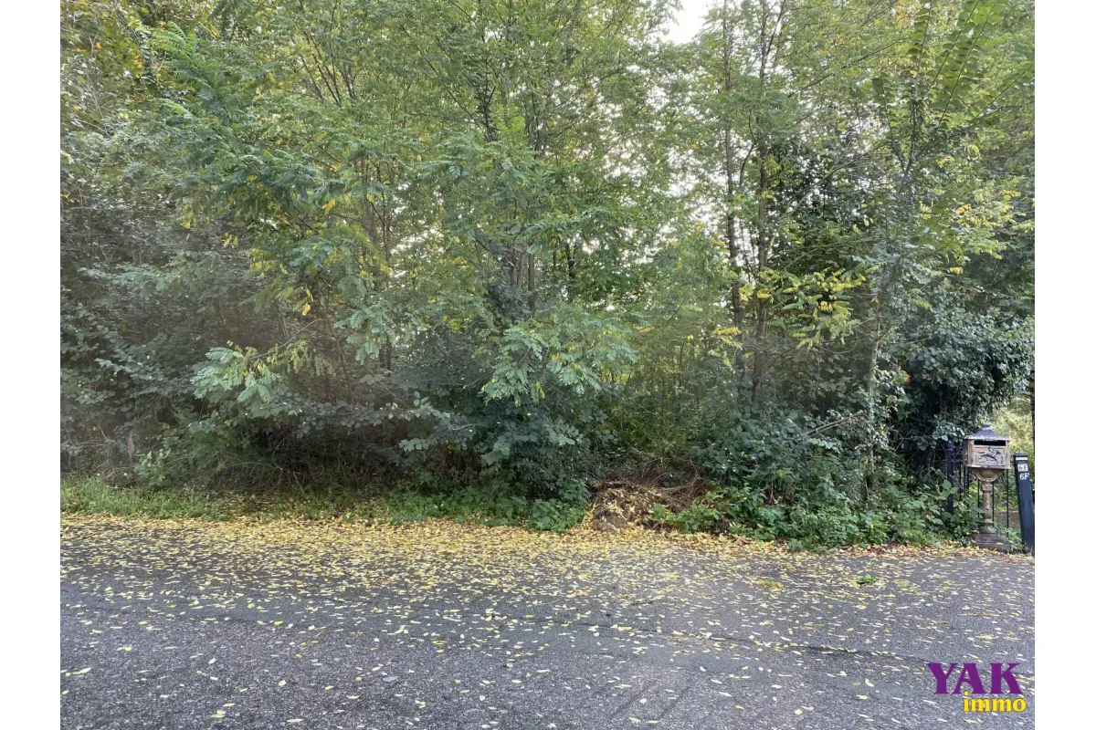 Terrain à vendre à Wauthier-Braine 1440 485000.00€  chambres m² - annonce 656900