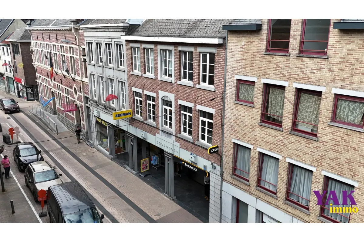 Maison à vendre à Enghien 7850 1800000.00€ 7 chambres 1726.00m² - annonce 656733