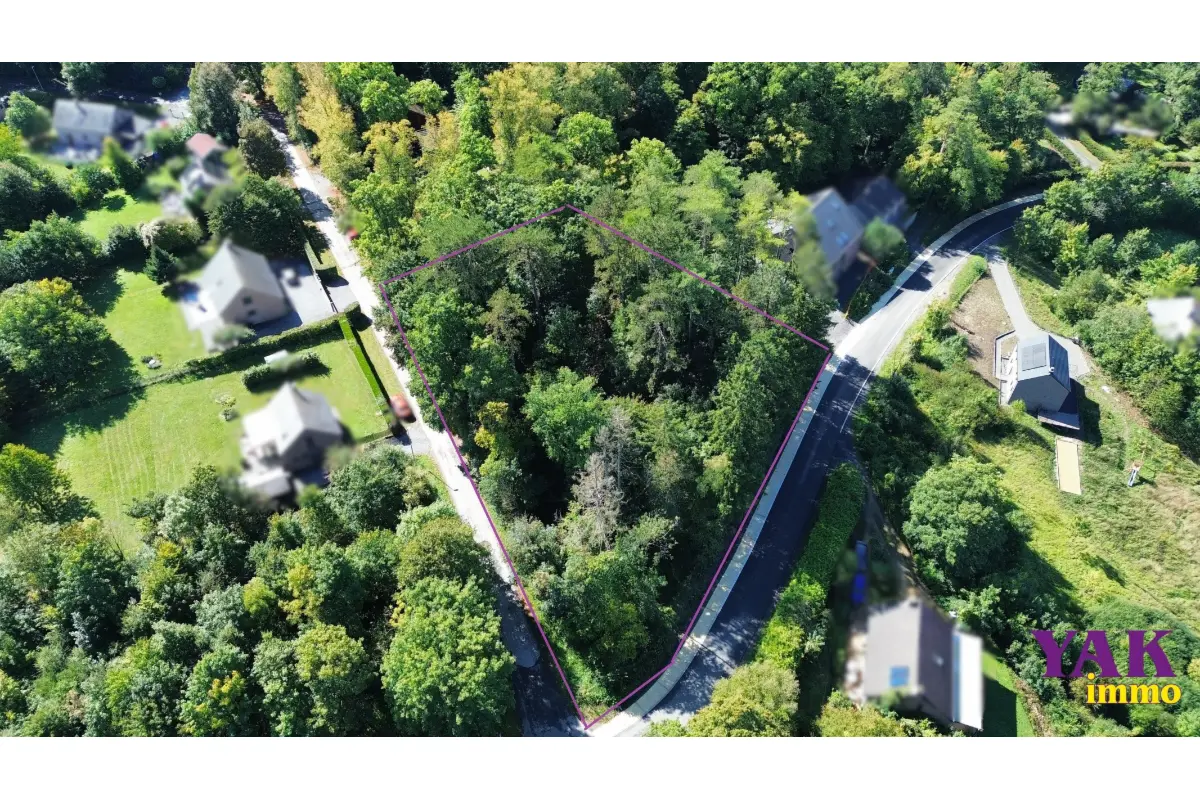 Terrain à vendre à Durbuy 6940 270000.00€  chambres m² - annonce 656729