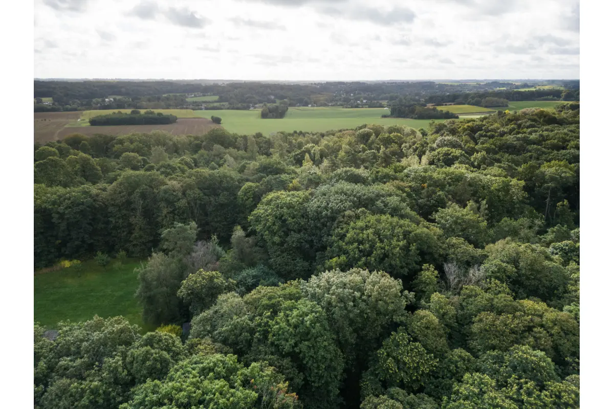 Grond te  koop in Waver 1300 425000.00€  slaapkamers m² - Zoekertje 657645