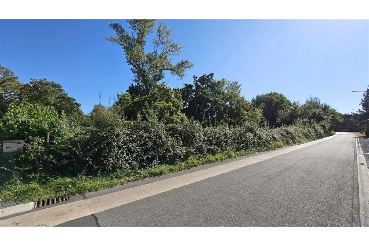 Grond te  koop in Tertre 7333 50000.00€  slaapkamers m² - Zoekertje 657484