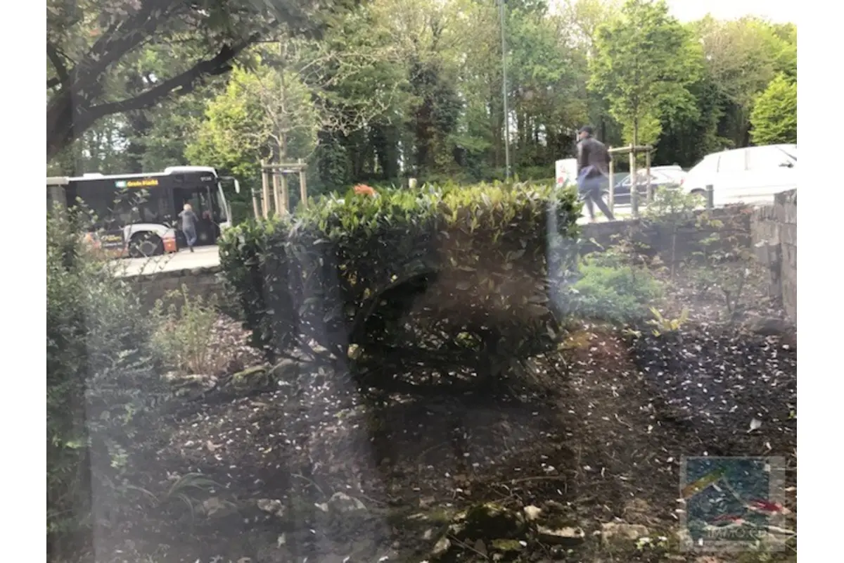 Appartement te  huur in Vorst 1190 925.00€ 1 slaapkamers 65.00m² - Zoekertje 658644