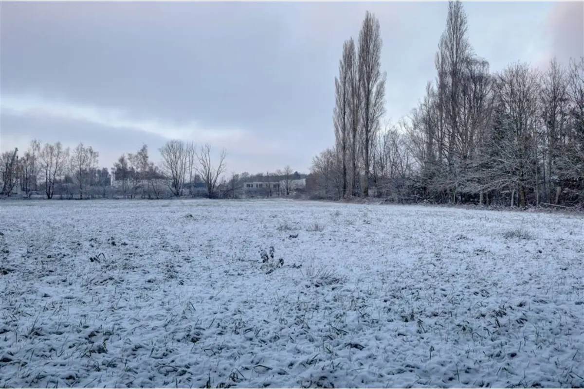 Terrain à vendre à Bonheiden 2820 95000.00€  chambres m² - annonce 662557