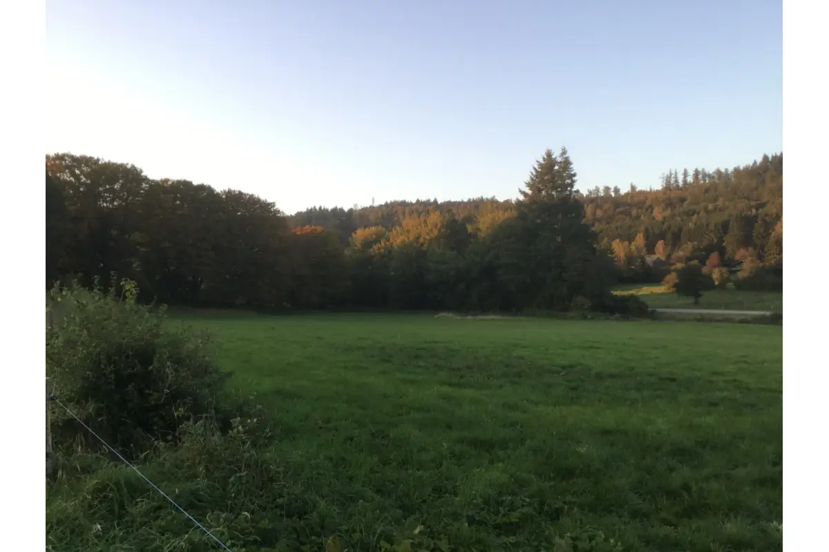 Terrain à vendre à Dohan 6836 248400.00€  chambres m² - annonce 663065