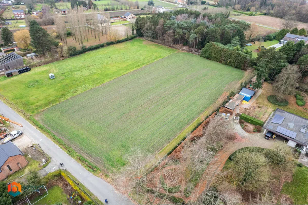 Terrain à vendre à Beerzel 2580 49000.00€  chambres m² - annonce 663094