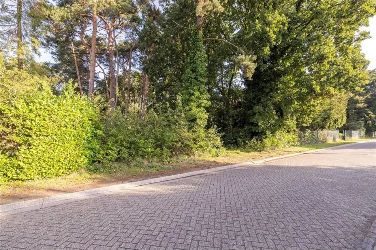 Terrain à vendre à Wechelderzande 2275 199000.00€  chambres m² - annonce 663207