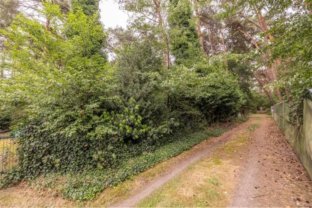 Terrain à vendre à Vorselaar 2290 20000.00€  chambres m² - annonce 663191