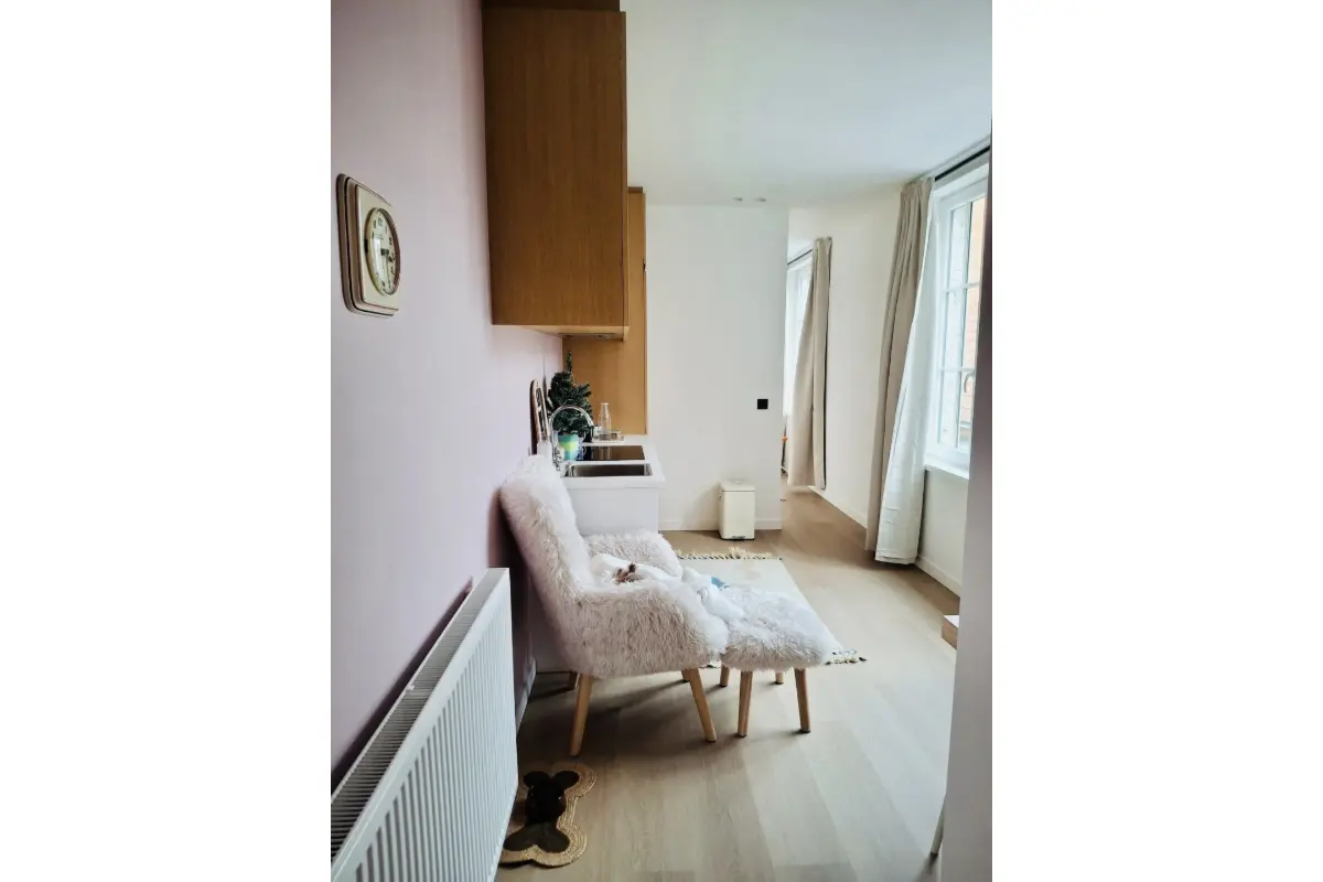 Studio te  koop in Brussel 1000 225000.00€  slaapkamers 35.00m² - Zoekertje 664523