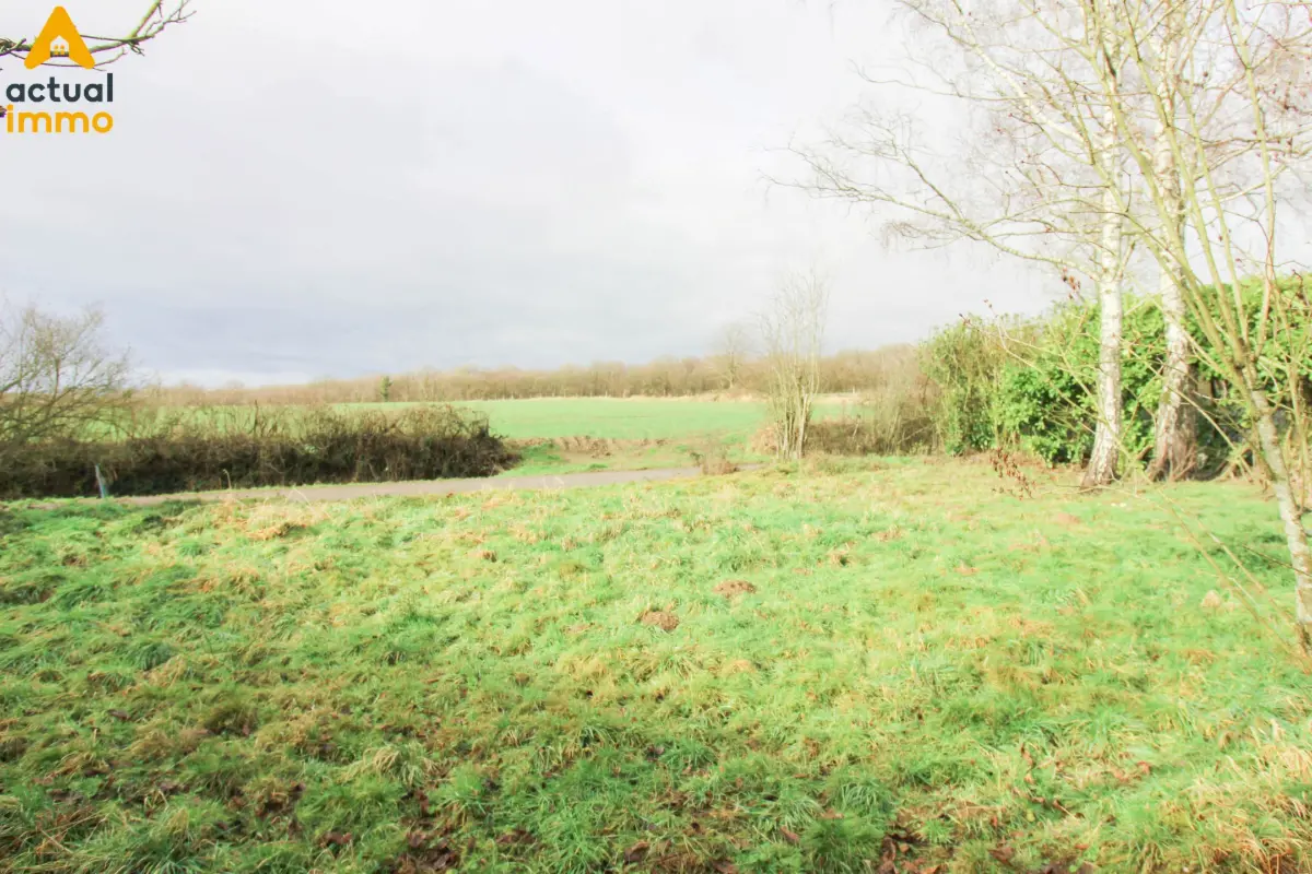 Terrain à vendre à Froidchapelle 6440 22500.00€  chambres m² - annonce 667201