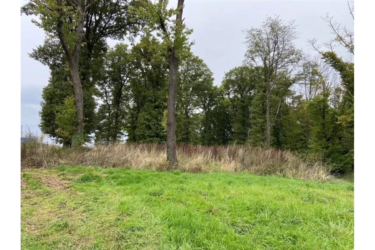 Grond te  koop in Bouffioulx 6200 125000.00€  slaapkamers m² - Zoekertje 668267