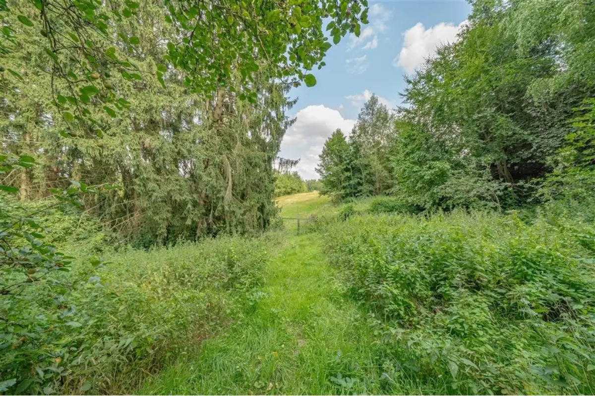 Terrain à vendre à Wavre 1300 295000.00€  chambres m² - annonce 668809