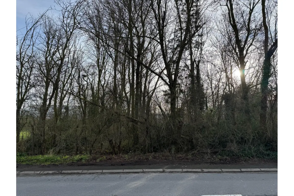 Grond te  koop in Luingne 7700 300000.00€  slaapkamers m² - Zoekertje 672791