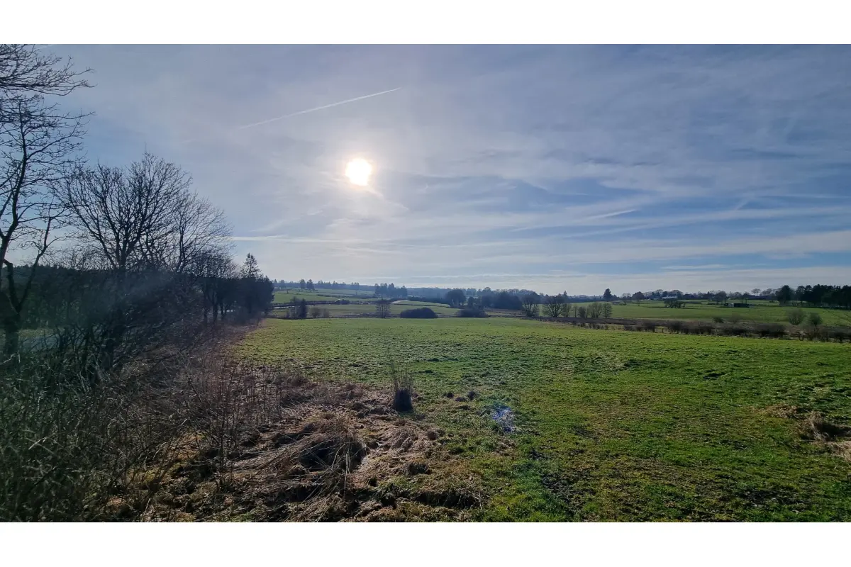 Grond te  koop in Büllingen 4760 47000.00€  slaapkamers m² - Zoekertje 673878