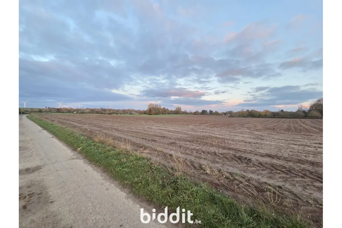 Grond te  koop in Ciplet 4260 240000.00€  slaapkamers m² - Zoekertje 675425