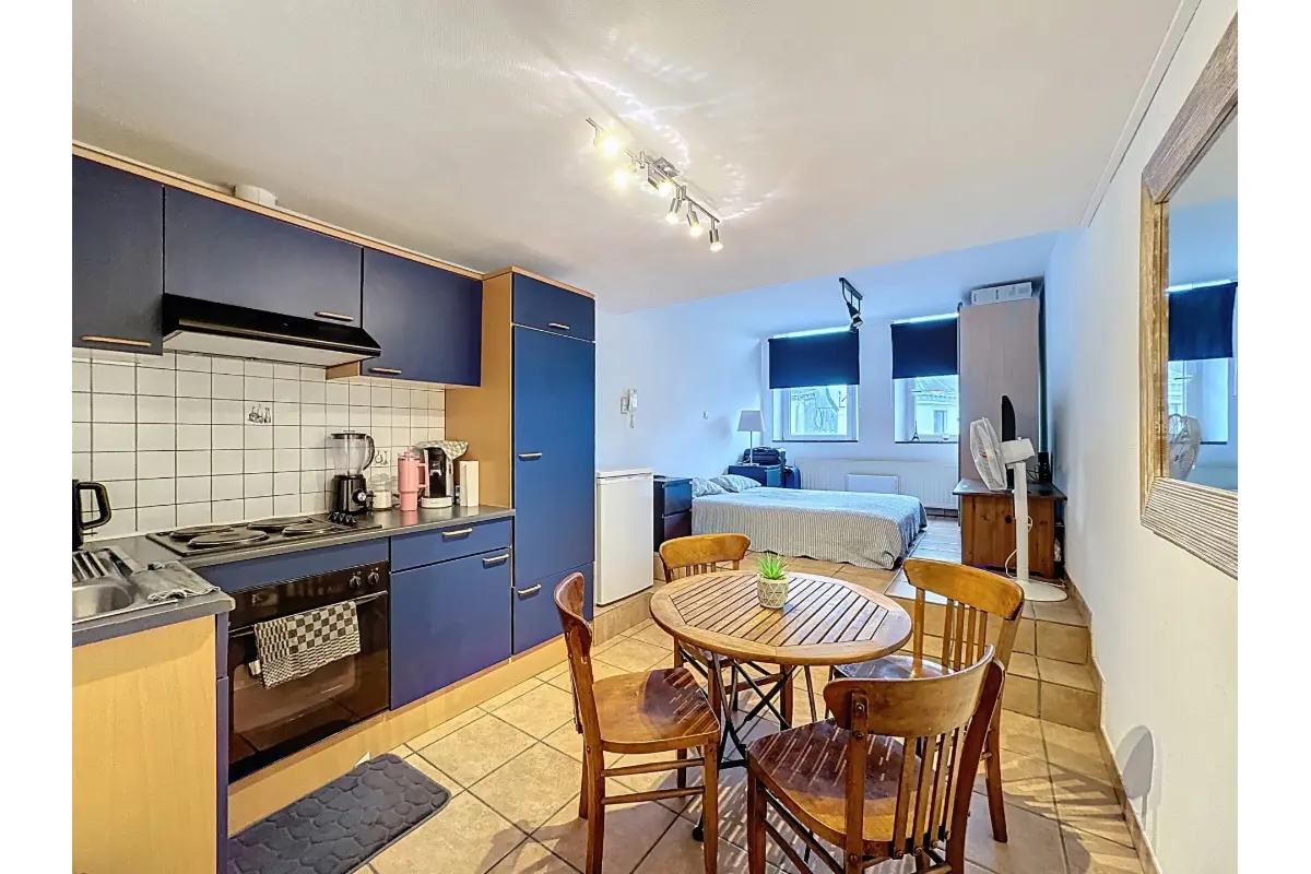 Studio à louer à Bastogne 6600 475.00€ 1 chambres 23.00m² - annonce 675038