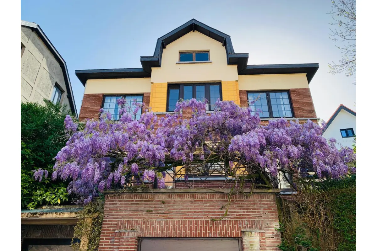 Maison à vendre à Forest 1190 875000.00€ 5 chambres 245.00m² - annonce 676119