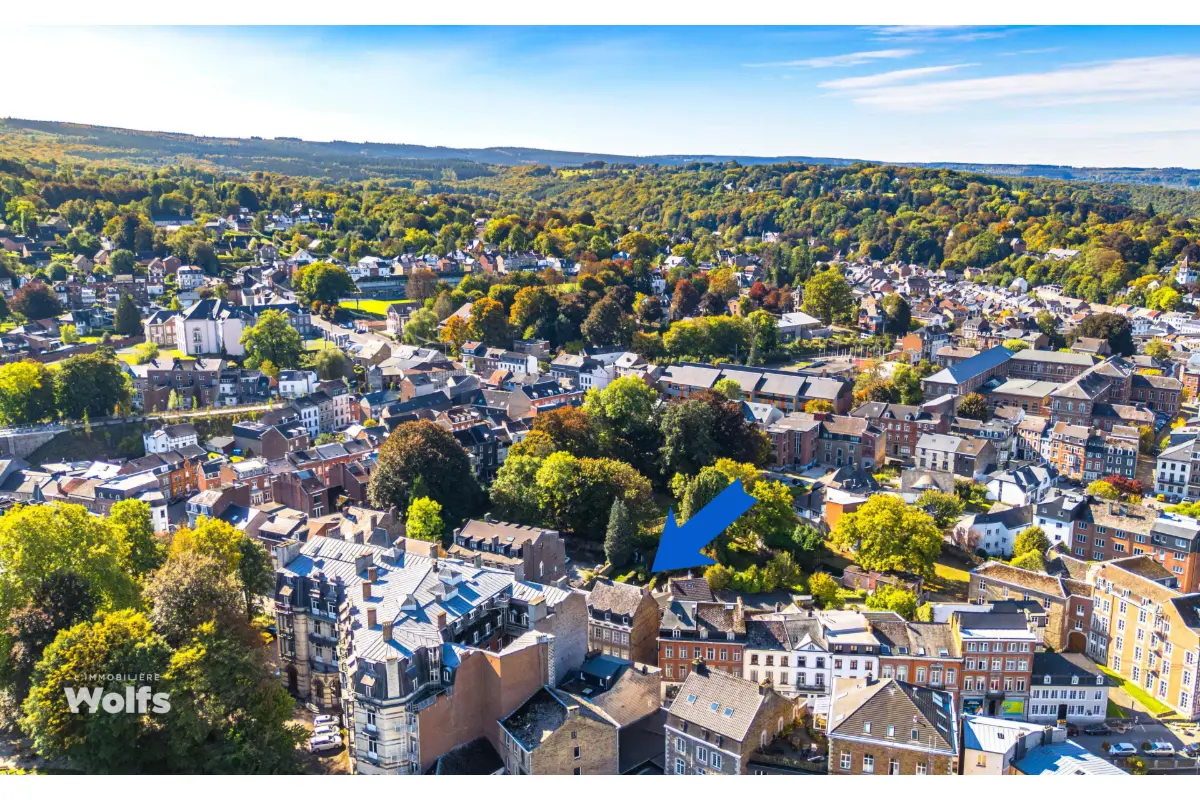 Handelszaak te  koop in Spa 4900 459000.00€  slaapkamers 352.00m² - Zoekertje 677008