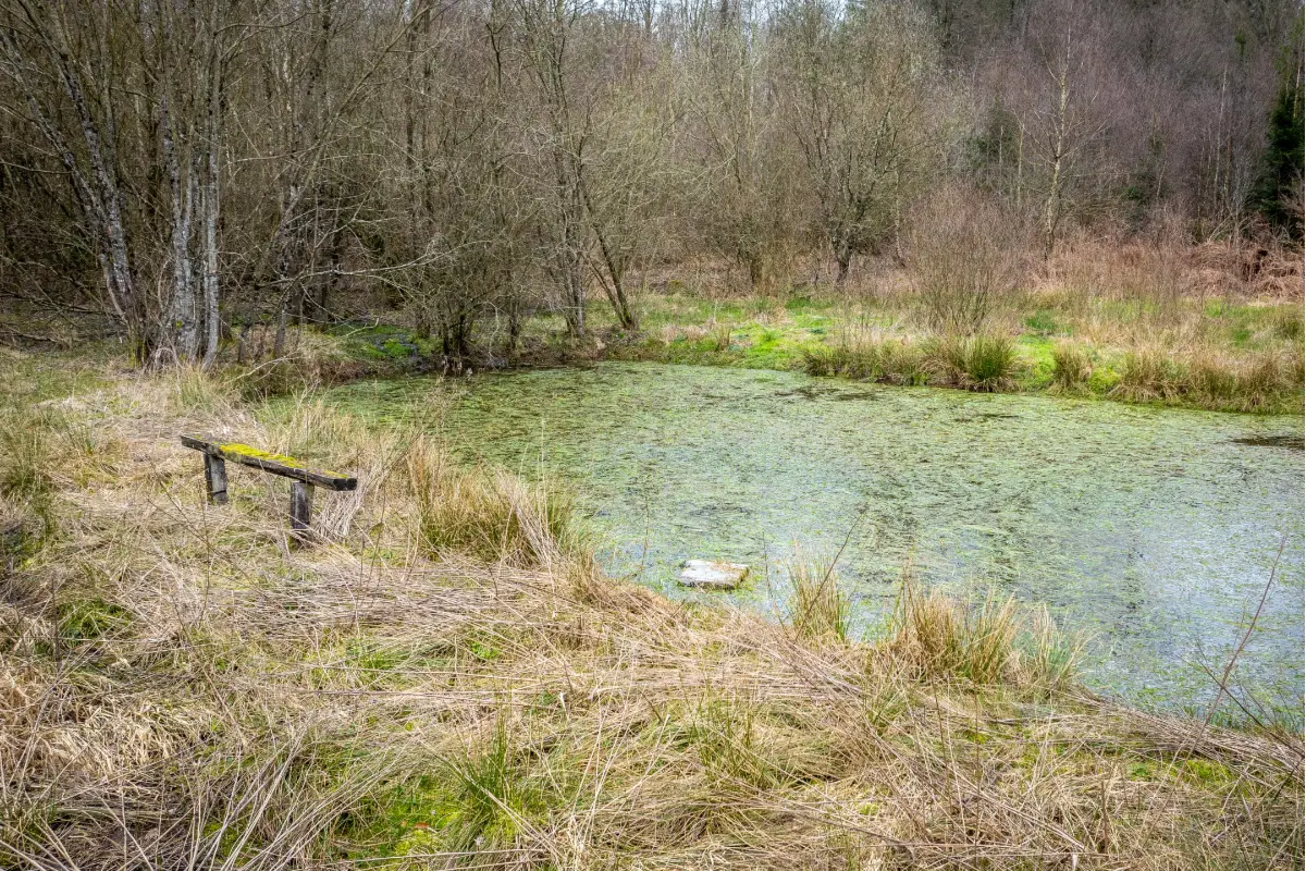 Grond te  koop in Carlsbourg 6850 89000.00€  slaapkamers m² - Zoekertje 678170