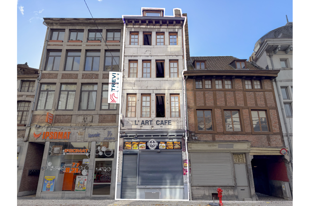 Appartementsgebouw te  koop in Luik 4000 395000.00€ 3 slaapkamers 400.00m² - Zoekertje 683008