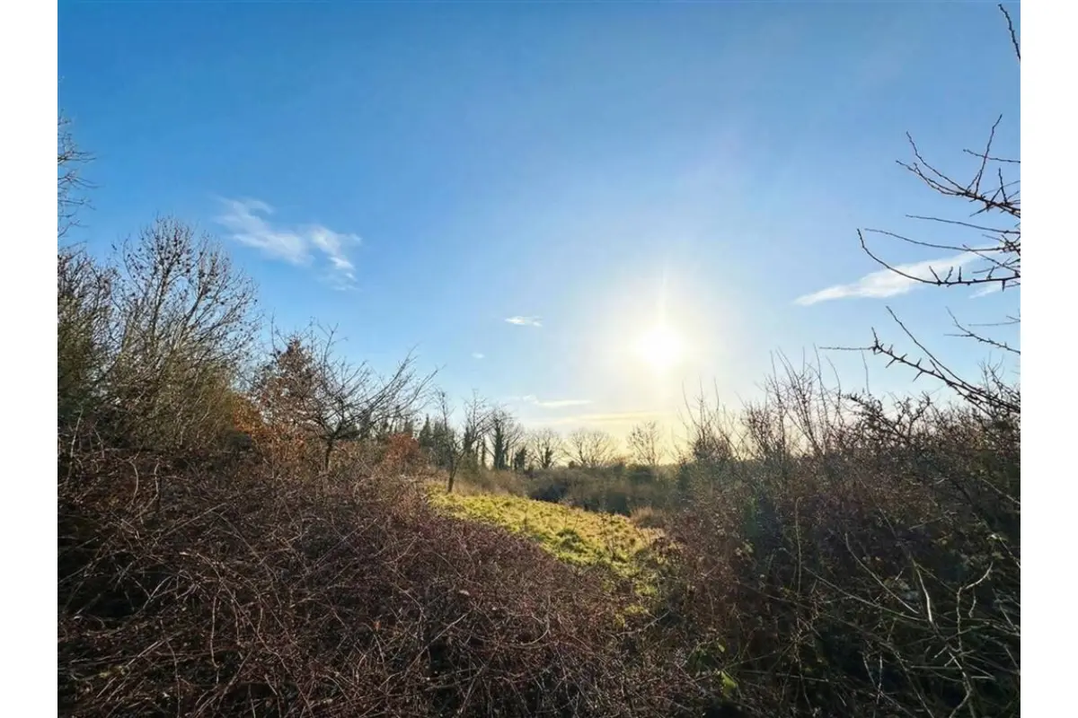 Grond te  koop in Hastière-Lavaux 5540 35000.00€  slaapkamers m² - Zoekertje 684167