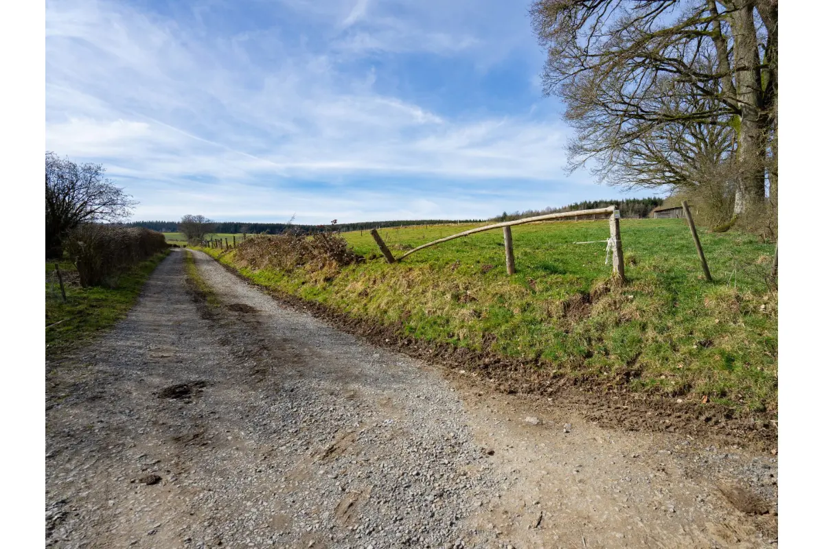 Terrain à vendre à La Roche-en-Ardenne 6980 79000.00€  chambres m² - annonce 684766