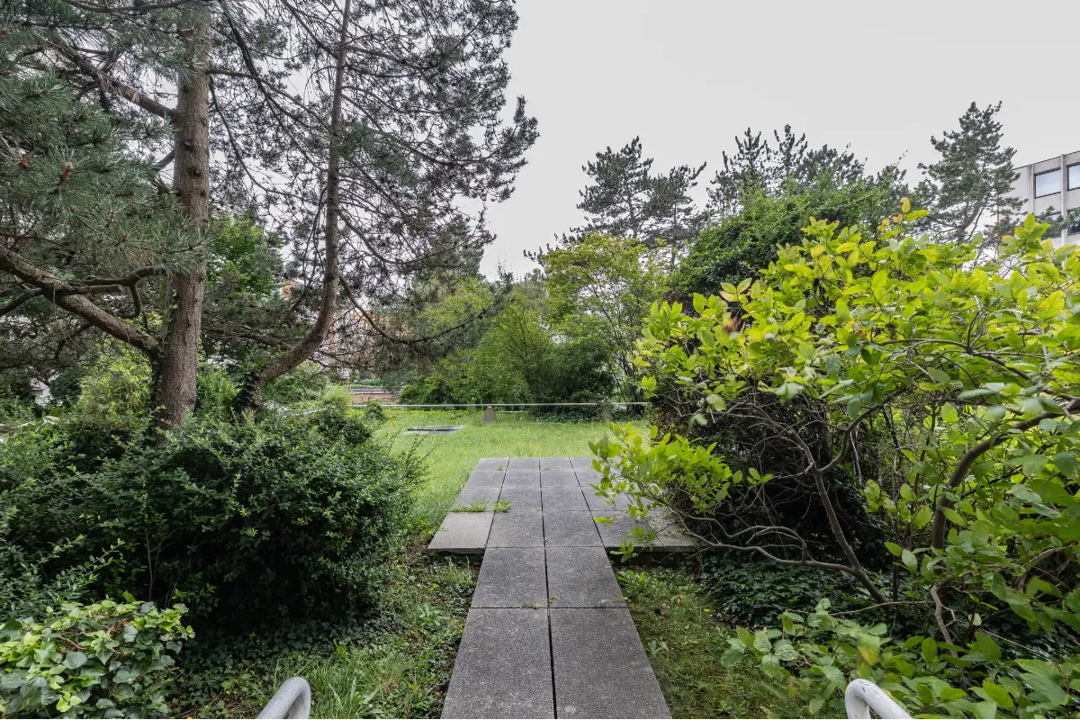 Handelszaak te  koop in Brussel 1000 0.00€  slaapkamers 230.00m² - Zoekertje 685327