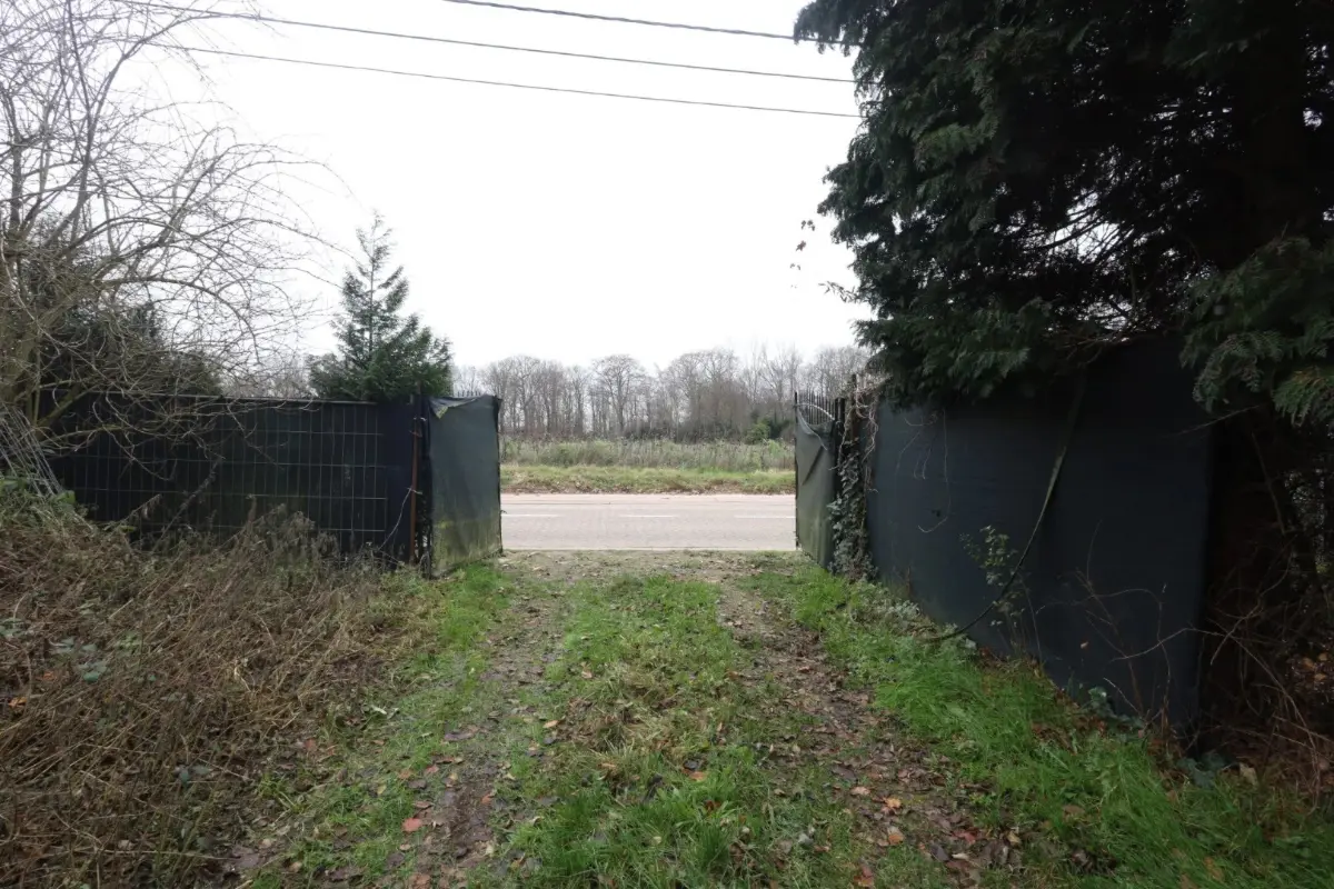 Bouwgrond te  in Zemst 1980 99000.00€  slaapkamers m² - Zoekertje 687350