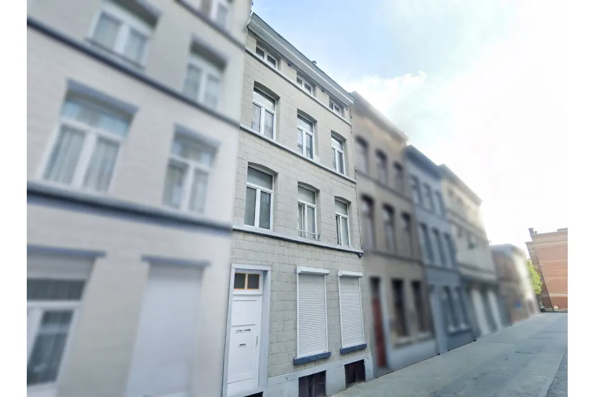 Mixgebouw te  koop in Brussel 1000 549000.00€ 4 slaapkamers 235.00m² - Zoekertje 688957