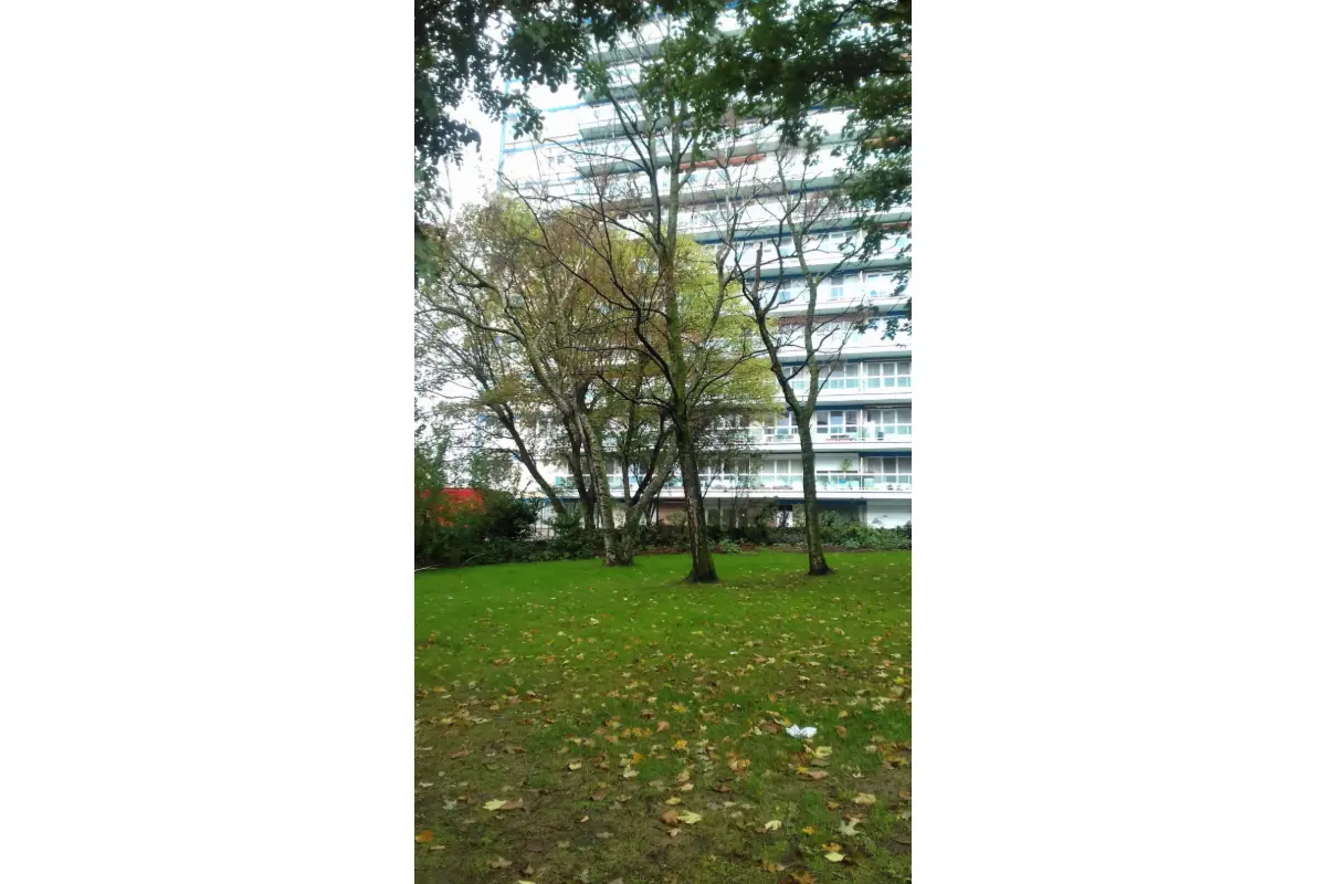 Appartement te  koop in Anderlecht 1070 238000.00€ 2 slaapkamers 91.00m² - Zoekertje 691256