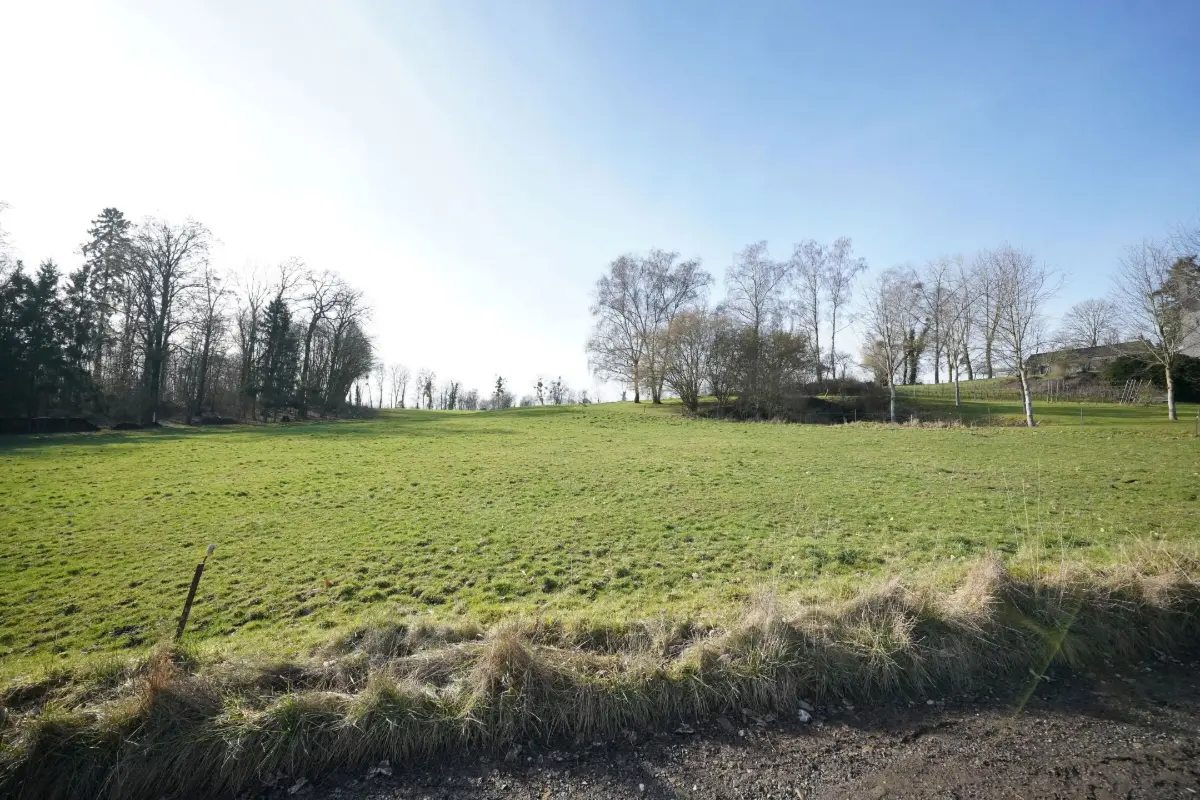 Grond te  koop in Marchin 4570 85000.00€  slaapkamers m² - Zoekertje 694914