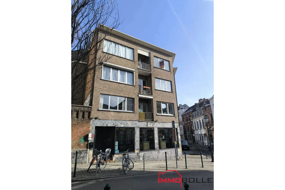 Appartement à vendre à Etterbeek 1040 290000.00€ 1 chambres 100.00m² - annonce 695385