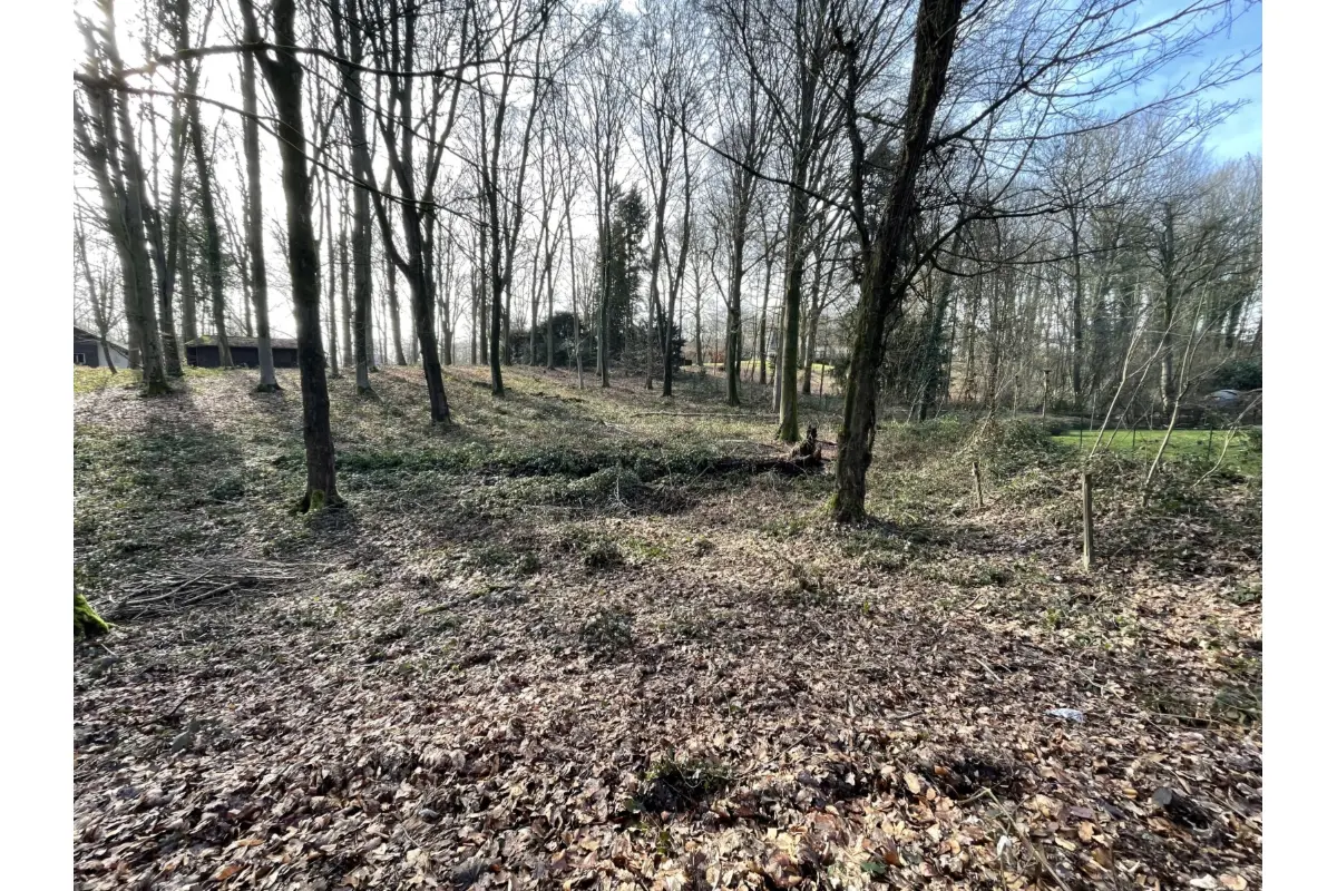 Grond te  koop in Tervuren 3080 450000.00€  slaapkamers m² - Zoekertje 695352