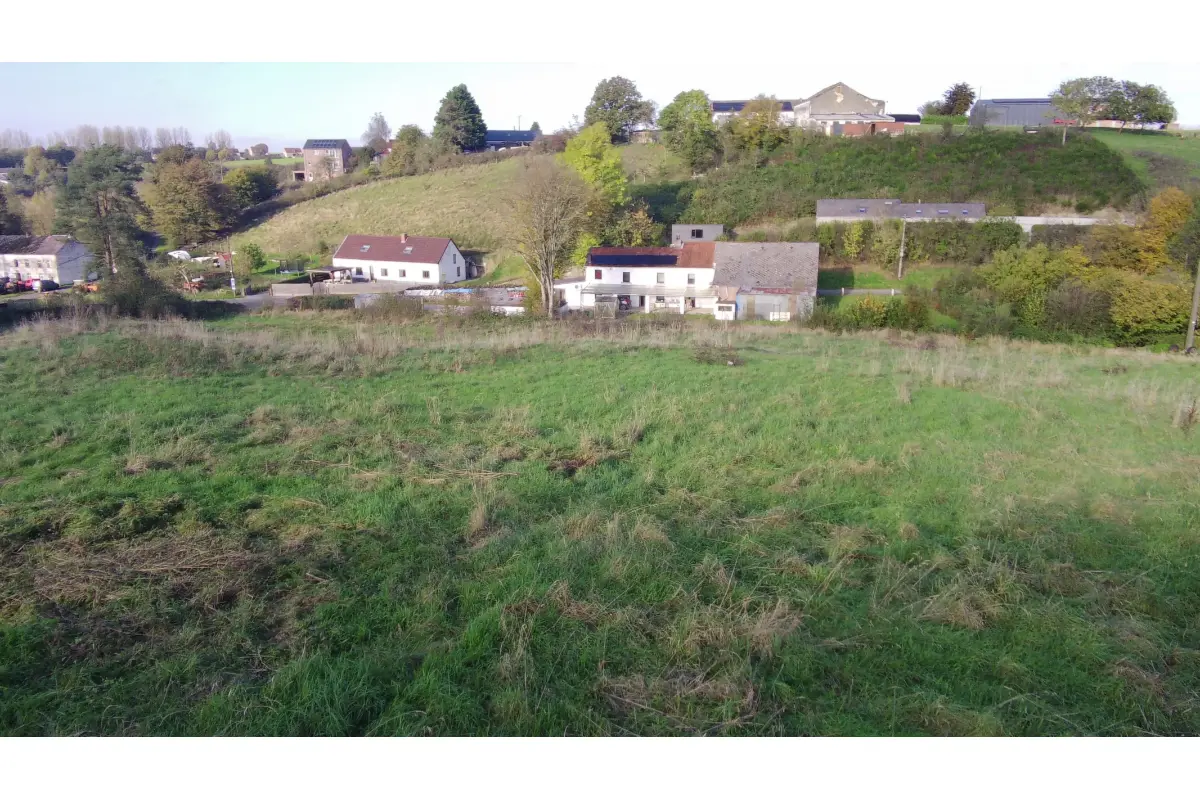 Terrain à vendre à Froidchapelle 6440 75000.00€  chambres m² - annonce 696799