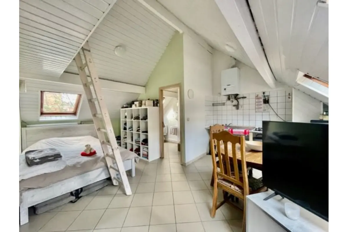 Maison à vendre à Ixelles 1050 479000.00€ 4 chambres 150.00m² - annonce 697479