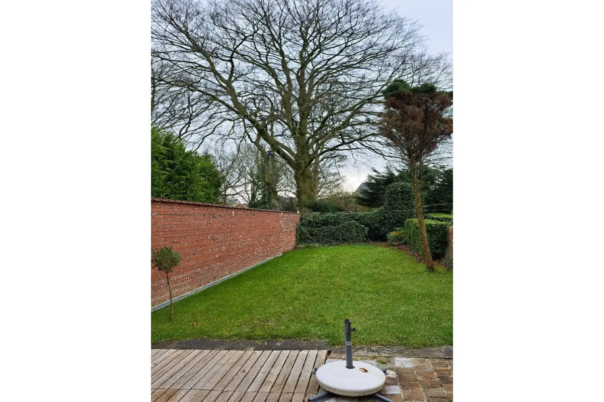 Rez-de-chaussée à louer à Woluwe-Saint-Lambert 1200 1150.00€ 1 chambres 100.00m² - annonce 699049