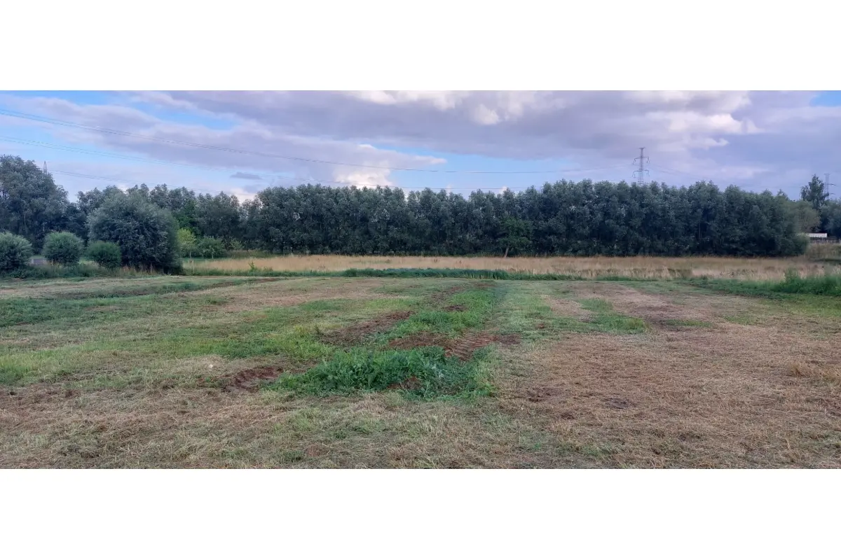 Grond te  koop in Asse 1730 325000.00€  slaapkamers m² - Zoekertje 700598