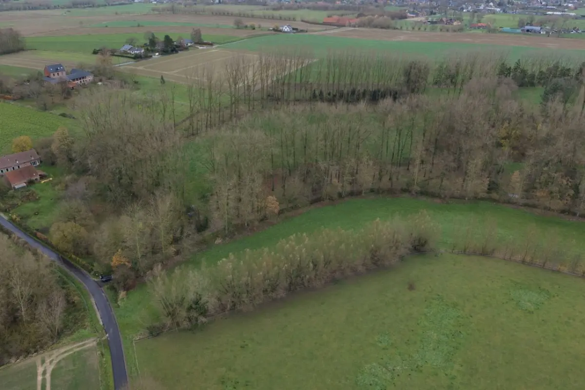 Grond te  koop in Herfelingen 1540 275000.00€  slaapkamers m² - Zoekertje 701887