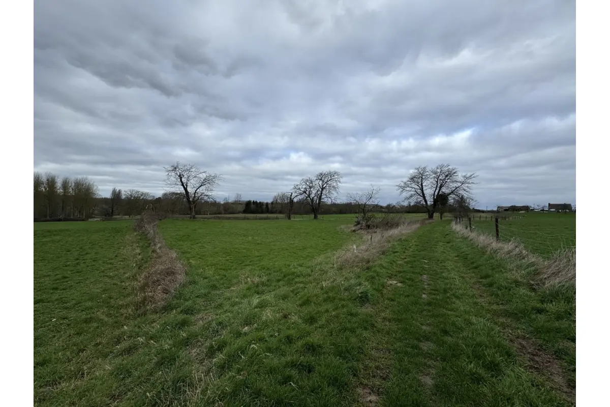 Grond te  koop in Sint-Pieters-Leeuw 1600 65000.00€  slaapkamers m² - Zoekertje 702493