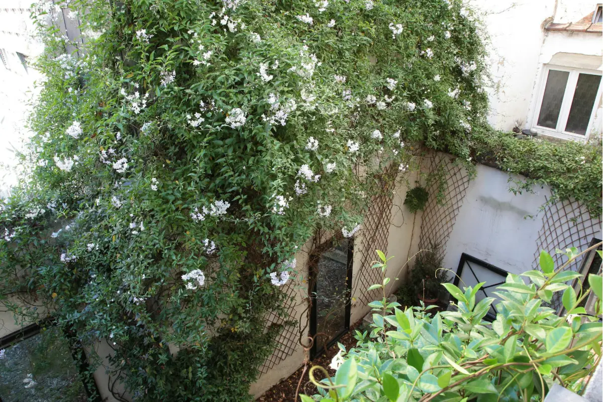 Huis te  huur in Brussel 1000 11500.00€  slaapkamers m² - Zoekertje 702578