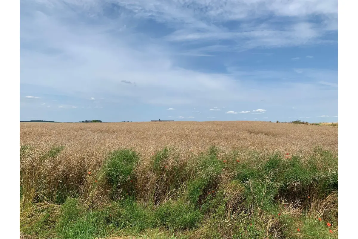 Grond te  koop in Hastière 5540 65000.00€  slaapkamers m² - Zoekertje 703282